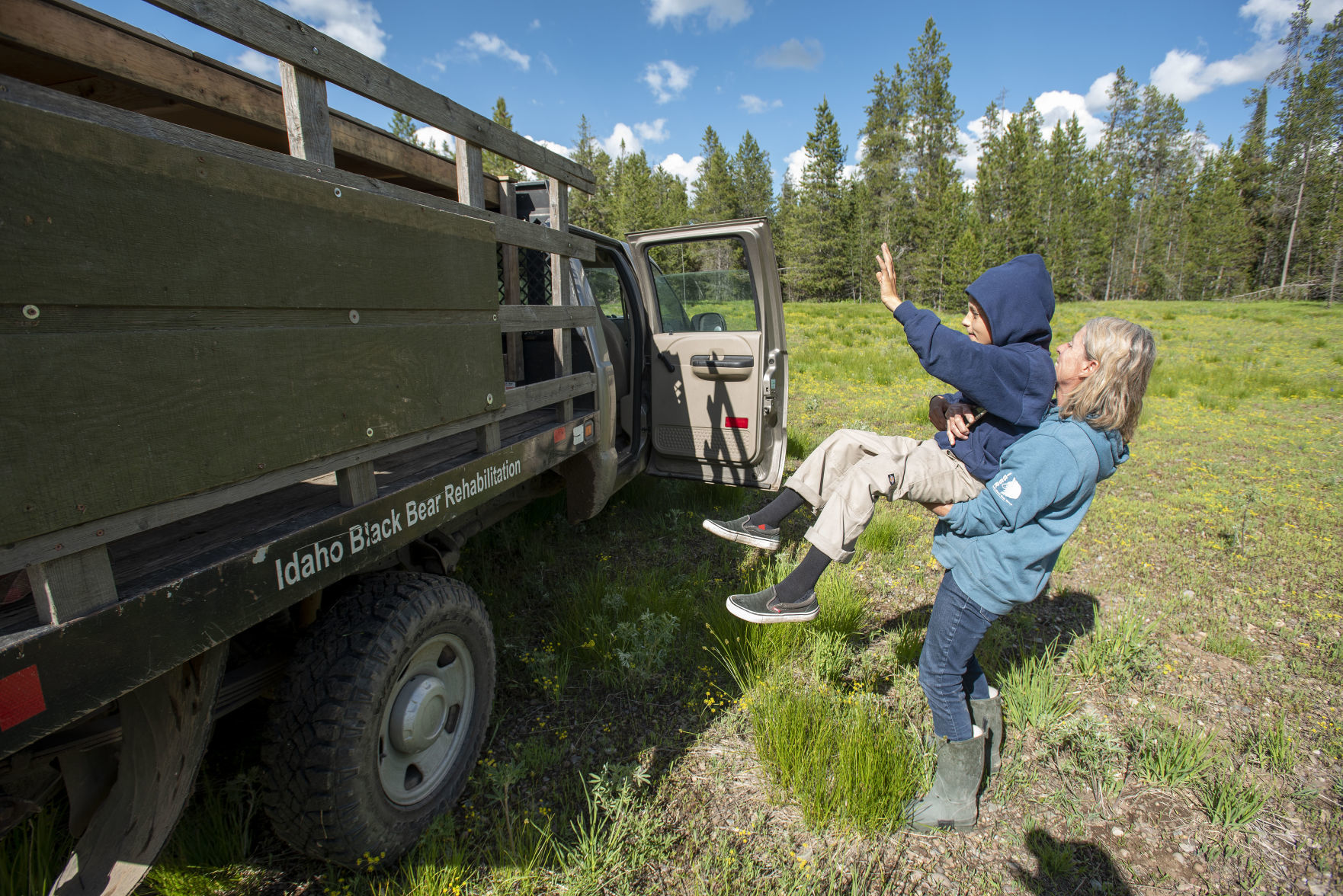 Rehab bear release